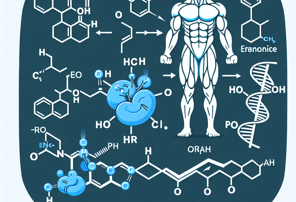 Cómo mejora Drostanolona la respuesta al entrenamiento excéntrico