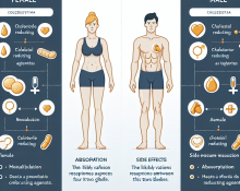 Qué diferencias esperar entre hombres y mujeres con Colesterol - agentes reductores